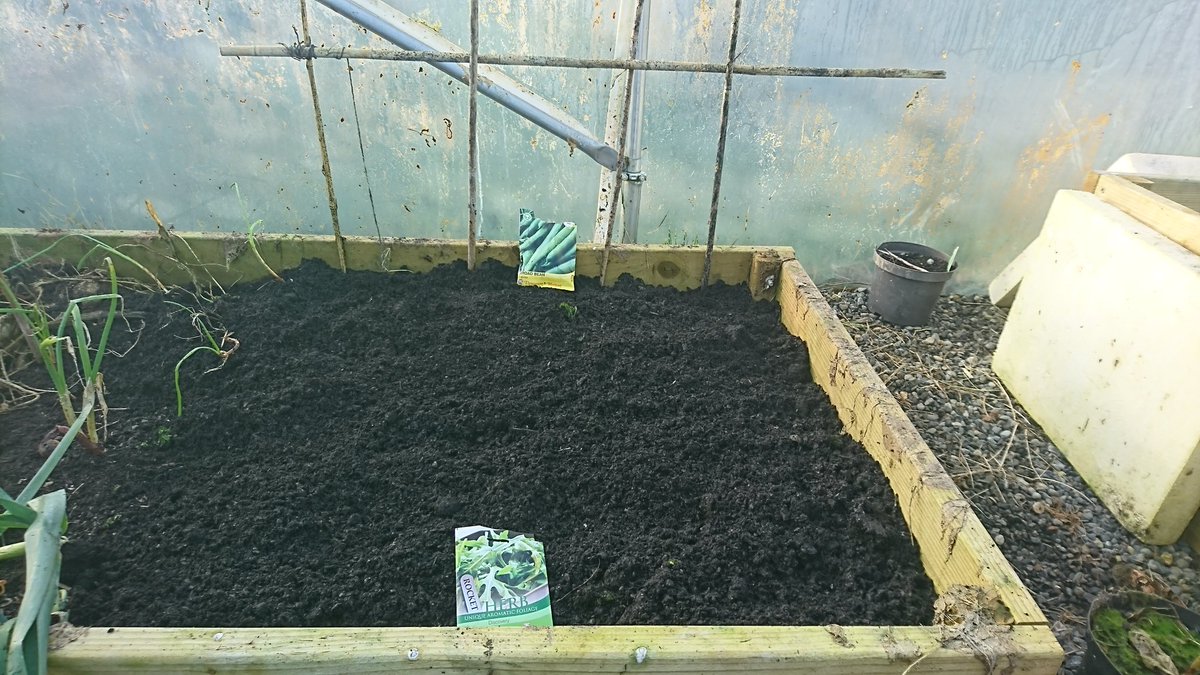 PolyTunnelDad's tweet photo. First seeds sowed in 2018..broad beans and rocket :-) #polytunnel #growyourown #salads https://t.co/tBNSNEZknB