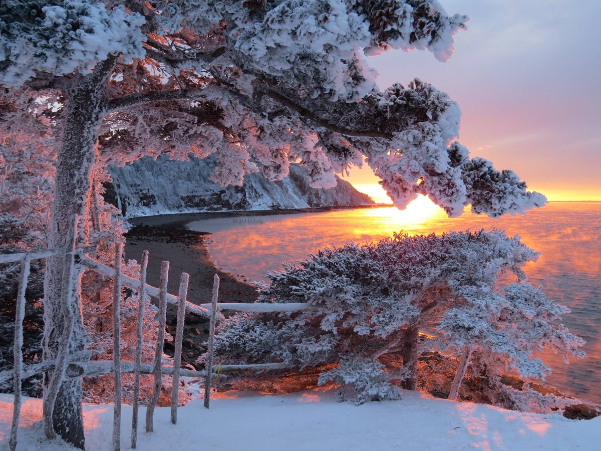 Grand Manan Island tweet media
