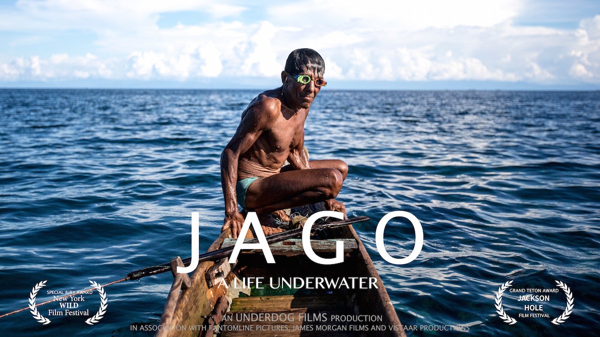 fablefilmsuk's tweet photo. Our very own @jamesmorganfoto  worked on documentary Jago: A Life Underwater, which hit @Netflix screens in the US a few months back but is now, finally, available to watch in the UK!  #netflix #jago #lifeunderwater #fablefilms https://t.co/zXrhR0b3pj