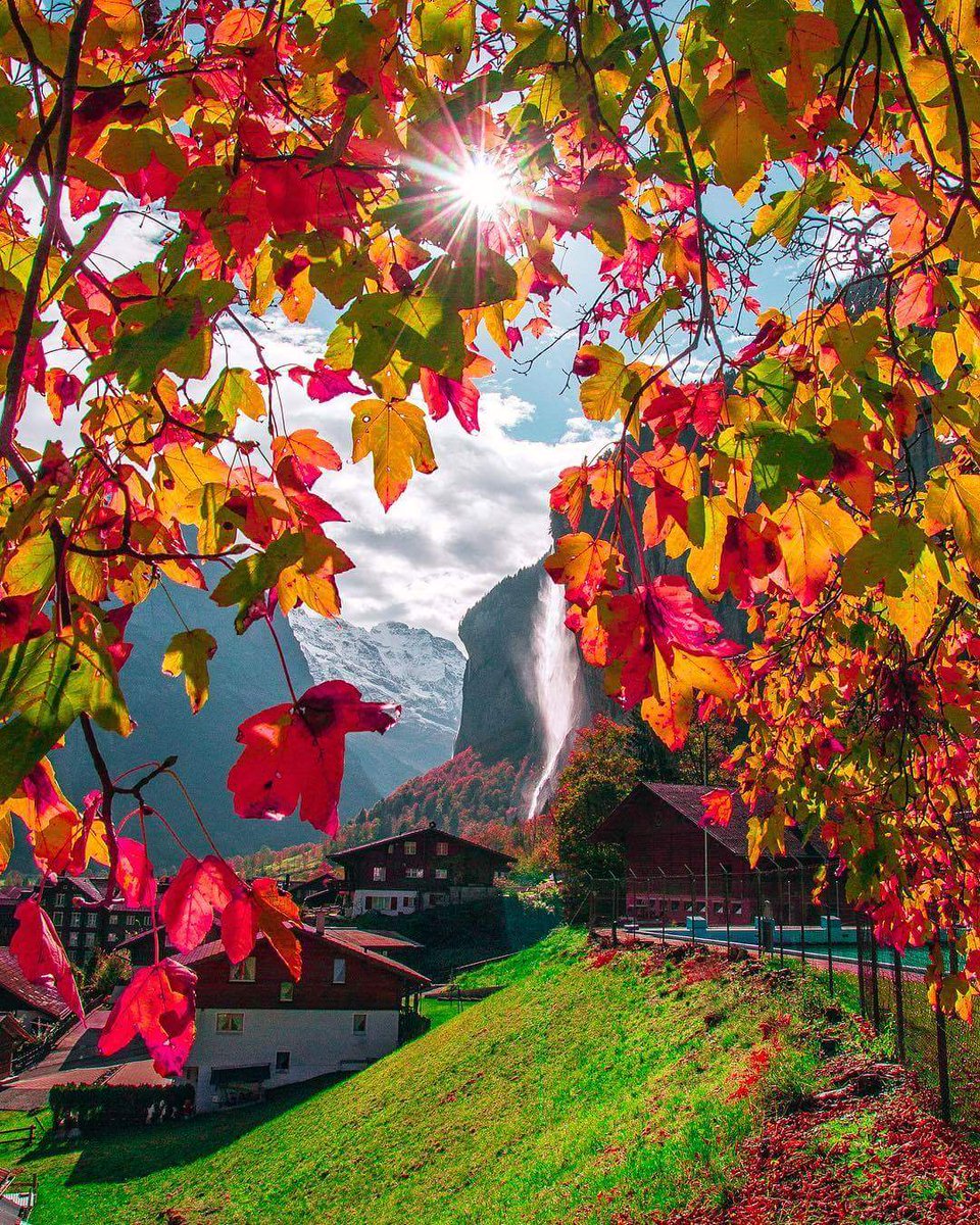 I wish to go to Switzerland 😍