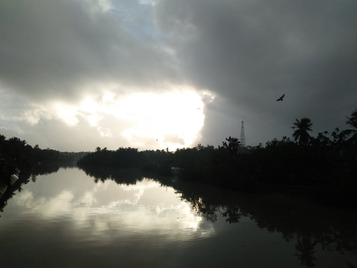 justanotherleaf's tweet image. blithe sky
on a dewy
morn like a heart that
goes its own way spilling light
and warmth 
#mpy #naturepoetry #photopoetry
#micropoetry