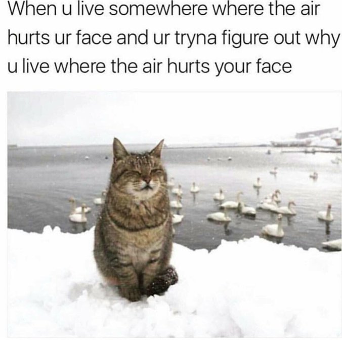 Me https://t.co/y982p9xrdU