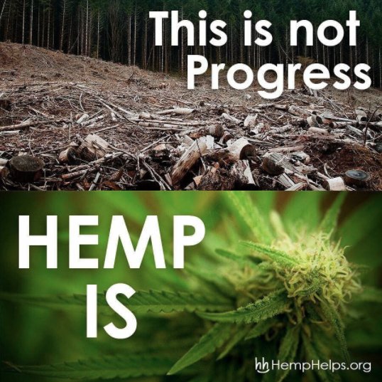Make progress with #hemp!

#HempWeek
#DeepRoots