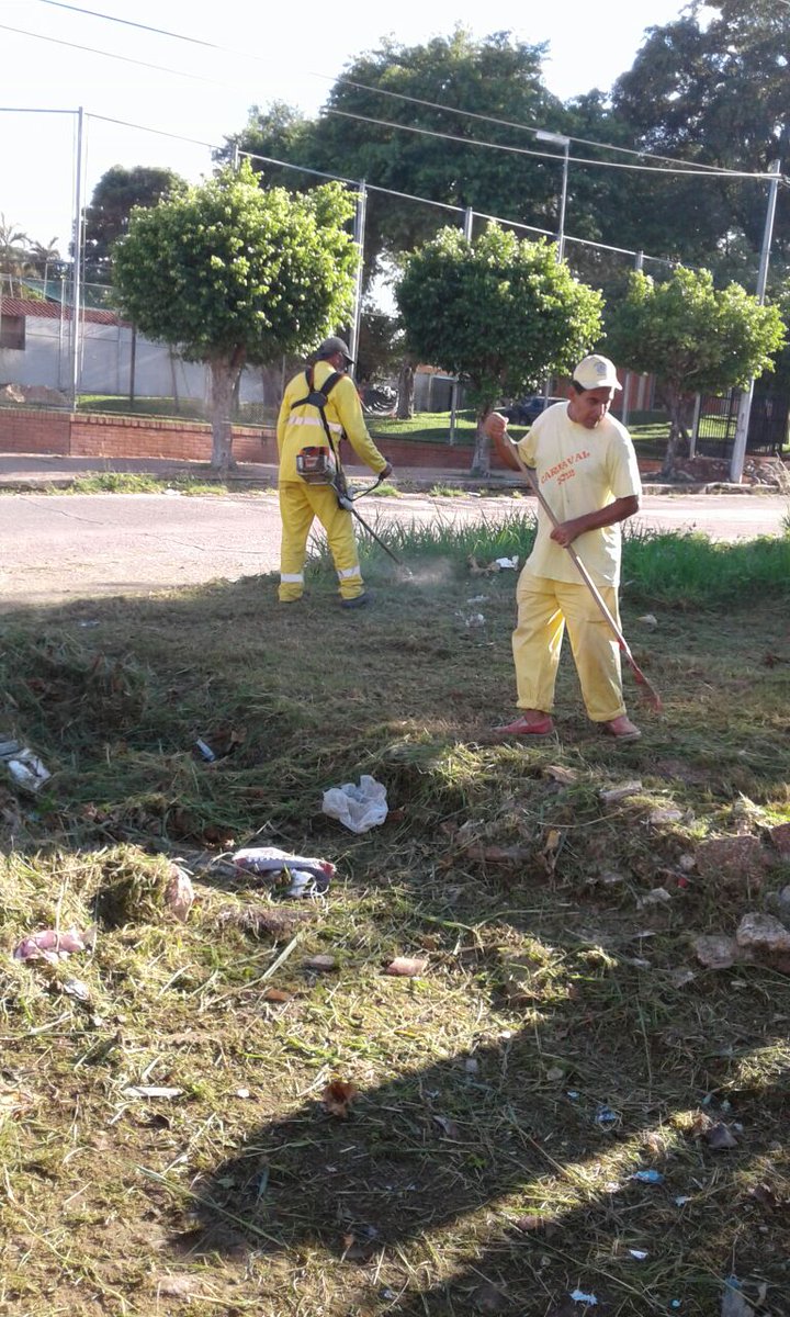AsuDsu's tweet photo. Cuadrillas de la @AsuDsu realizan trabajos de limpieza general, desmalezado y levantamiento de residuos sobre las calles ↪Manuel Miltos y Daniel Giménez↩. 👌🍃 @Ferreiromario1 @procesa14 @1000_am https://t.co/DvBYqquqgo