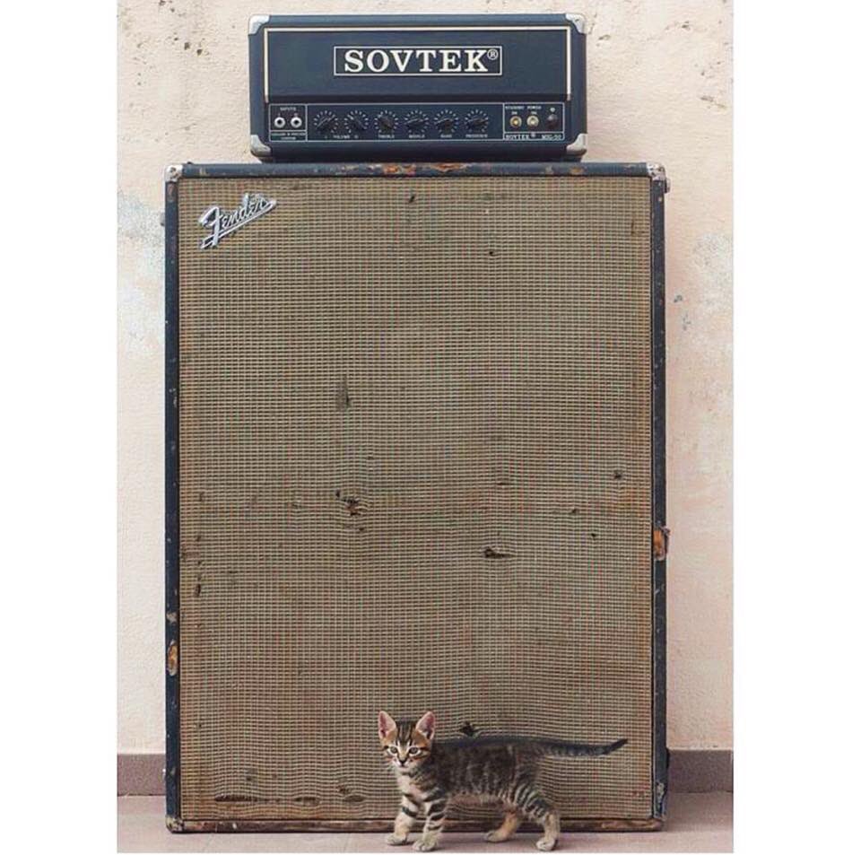 catsonamps's tweet image. @lvdvenia @sovtekamplifiers @reverb @geartalk #geartalk #gearslutz #sovtek #fender #fenderamps #npr @fender @magneticeyerecords #catsonamps @Fender