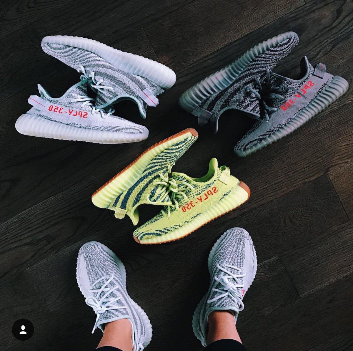 Our first winner will be drawn LIVE next week for the YEEZY BLUE TINT's 😱😱 // be sure to get some tickets to have a chance of winning !! LINK IN BIO ☝️️☝️️
-
-
📸@makephoto
-
-
-
#yeezys #supreme #supremeboxlogo #raffle #competition #instapic #pickoftheday #supremeraffle