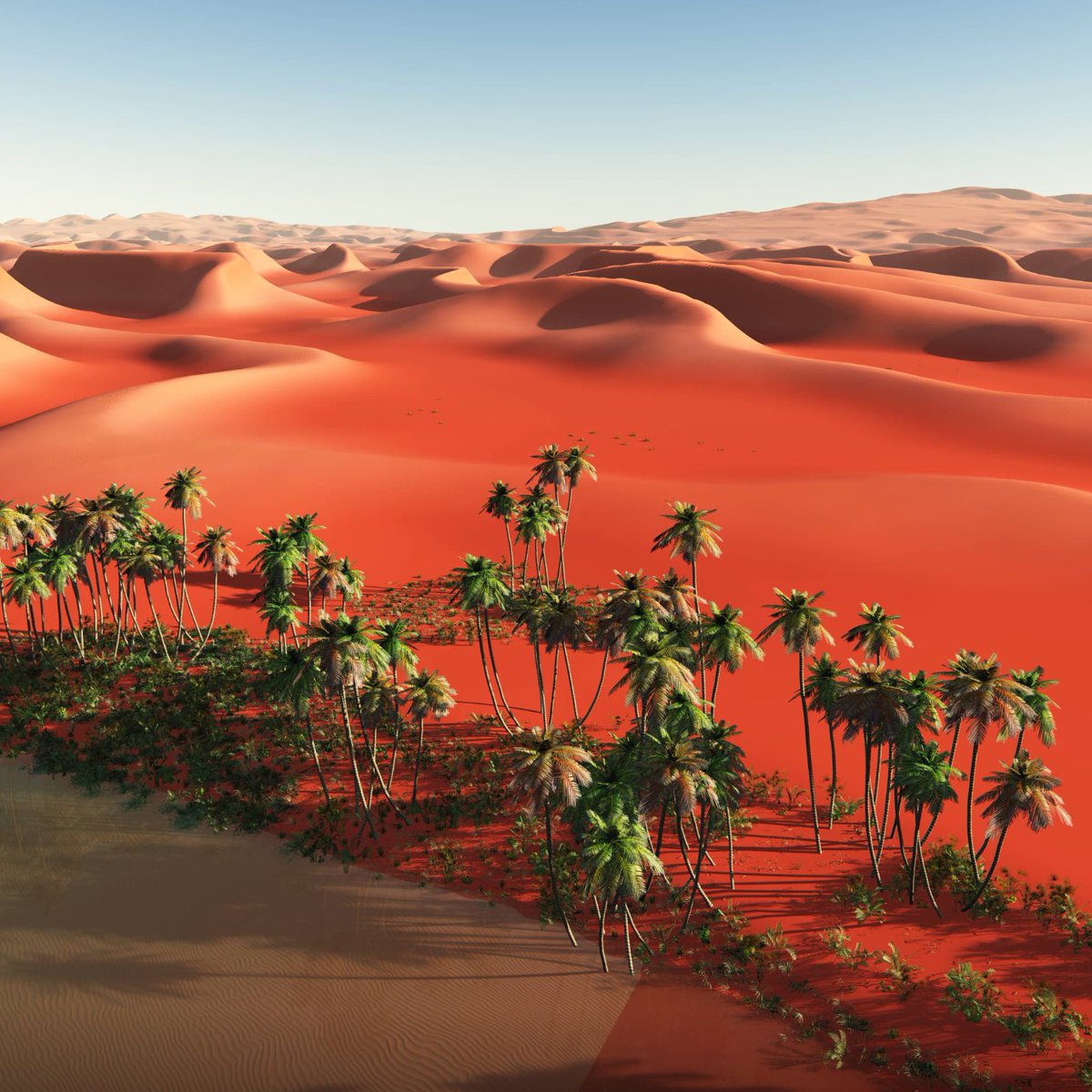 Our Beautiful World: Oasis in the Sahara Desert, Africa, image size:1200x1200