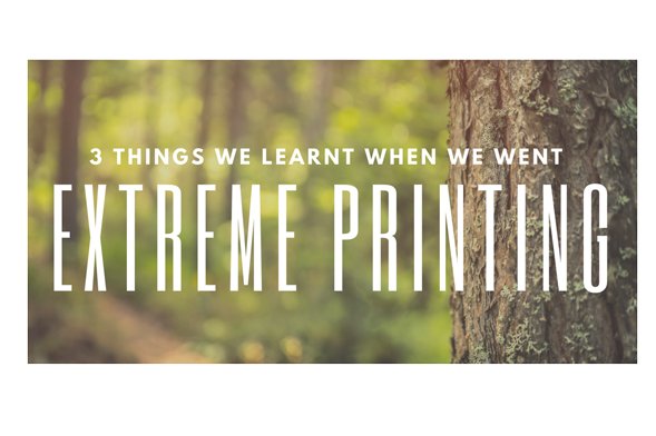 Fotospeed tweet media