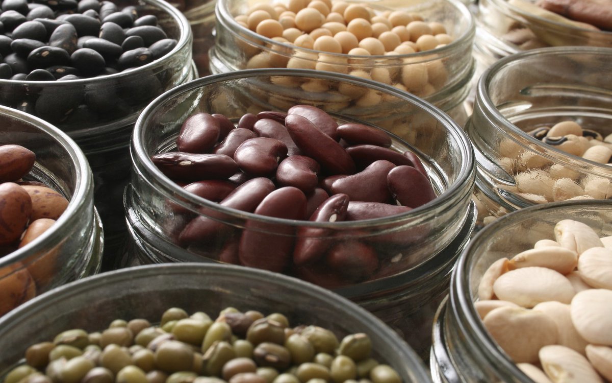 PWATIndy's tweet photo. Amaze your friends with these #weird #bean facts as you celebrate #BEANDAY today! #havefun #celebrate #funfacts #didyouknow https://t.co/3IRyQzkhH3 https://t.co/QTLKQc3wqB