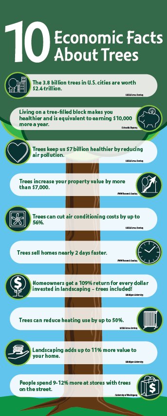 Trees provide some amazing benefits. These 10 economic facts about trees will show you just how valuable they are. #treebenefits