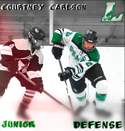 Come celebrate High School Hockey Day as the LDC Girls Hockey team takes on Willmar at the Litchfield Civic Arena today! JV starts at 11 a.m. and the Varsity starts at 1 p.m. #GoLitch