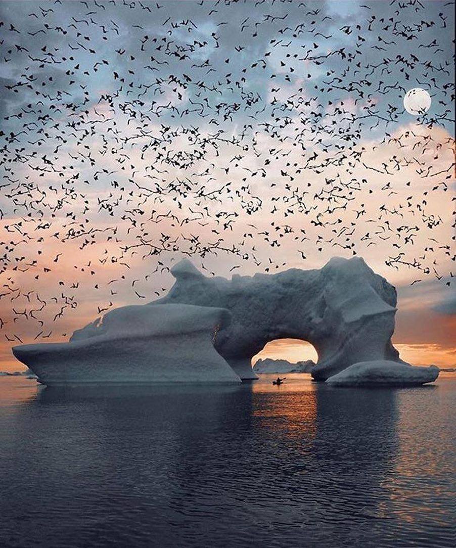 Just because it's a beautiful picture!

#kayaking #iceberg #boating #sailing #varen #watersport #boten #boot #boatheroes #boating