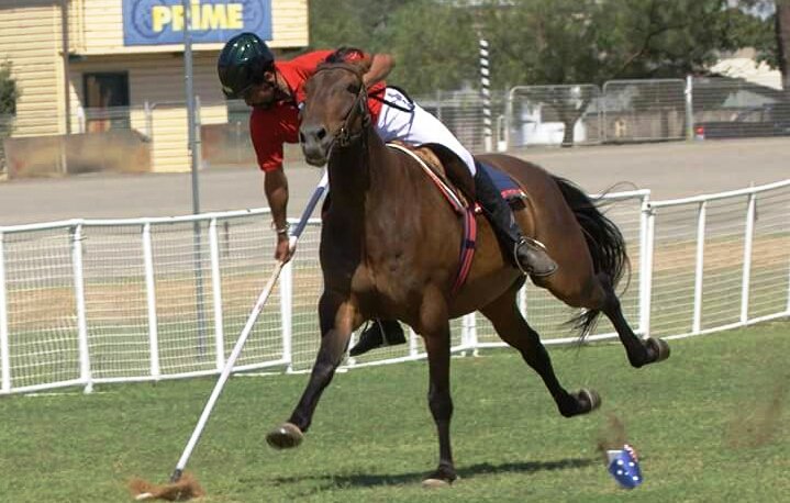 adgpi's tweet photo. Indian team comprising of Risaldar Ajay Sawant and Lance Dafadar Jangsher Ali from 61 Cavalry won Gold medal in the very first event at tent pegging World Cup qualifier being held at Australia. The qualifier is scheduled from 4 - 8 January 2018. #IndianArmy https://t.co/6eW5pYa9zL