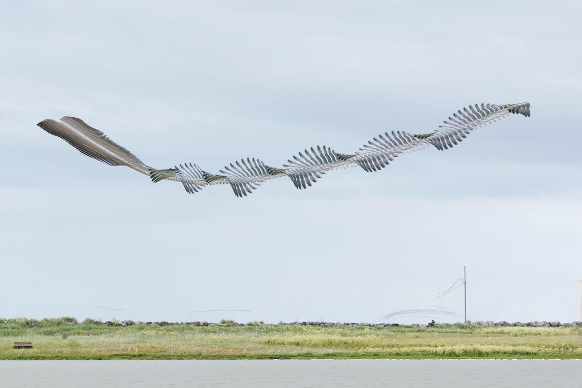 algoritmic's tweet image. A photographer captures the paths that birds make across the sky nationalgeographic.com/magazine/2018/…