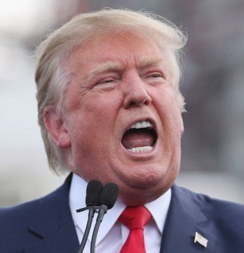 The Hummingbird 🐦 tweet media