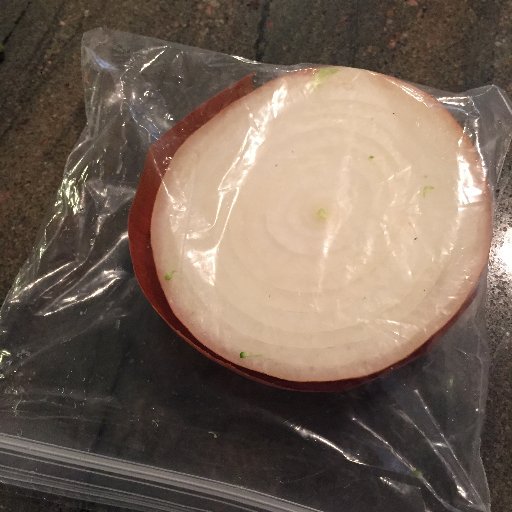 The Hummingbird 🐦 tweet media