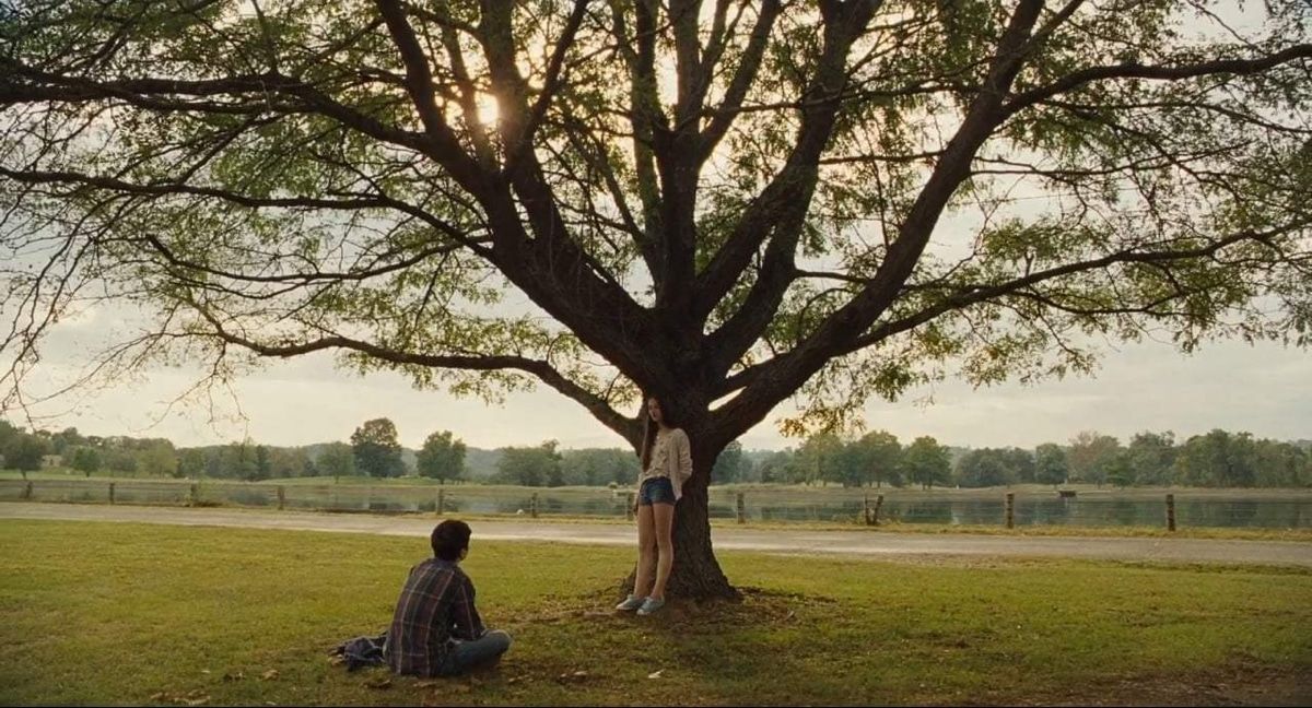 THE KILLING OF A SACRED DEER (2017) 

DP: Thimios Bakatakis
Director: Yorgos Lanthimos
Check out More Perfect Shots of 2017: ops.fyi/2E8Vyre