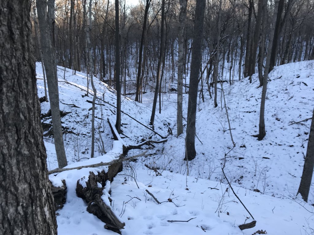 GavinPFisher's tweet photo. Started the morning #trailrunning on a #frozen #LawrenceCreek @INDNRstateparks #FortBenjaminHarrison then over to #SchoenCreekTrail with great scenery and we were #frozen. @CharlesForman6 #Discipline #TrailRun #run https://t.co/mYC3E6eQyb