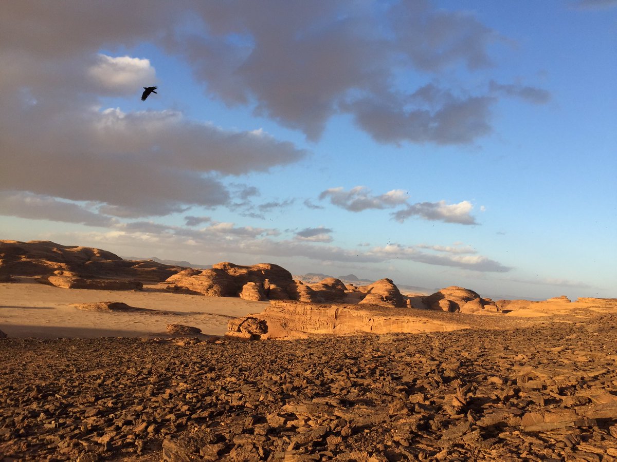 الحياة:أن تخرج من عالم الزيف والمجاملات إلى عالم الحقيقة المجردة "الصحراء"، حقيقة الأسلاف العابرين والنقوش التي خلفوها شاهدة عليهم، حقيقة العالم الصامت الذي يتحدث عن نواميس الكون الثابتة، حقيقة النفس المتغيرة، حقيقة الصراع المستمر بين العقل والفؤاد.
😍
#العلا
<a href="/MadakhilCamp/">مخيم مداخيل الصحراوي</a>