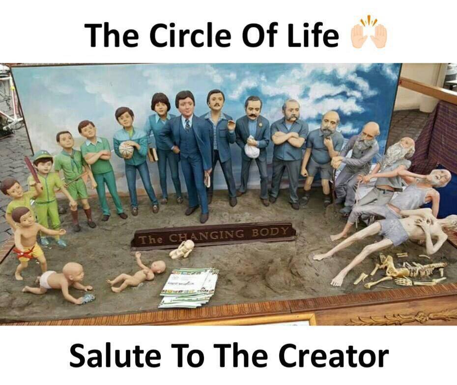 showerdark's tweet image. The circel of life