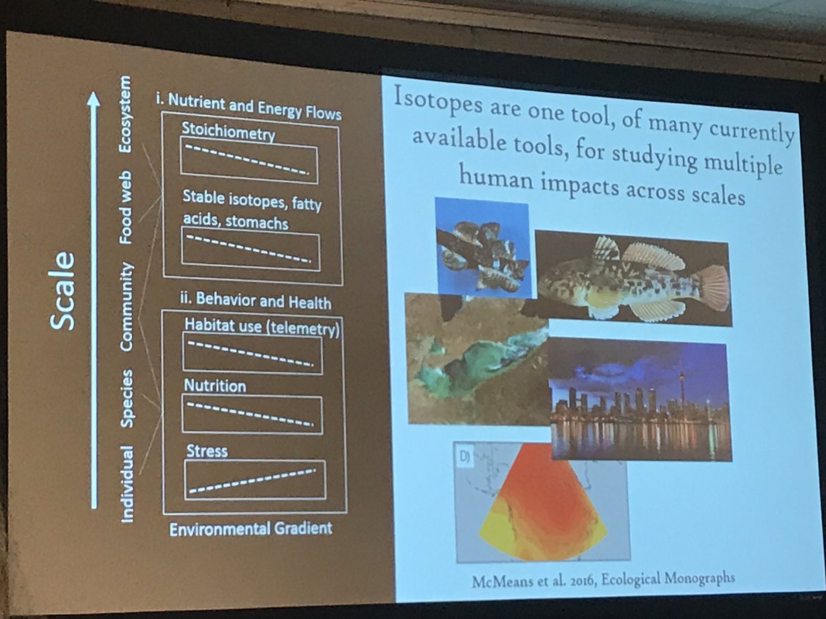 ecomaitland's tweet photo. Beauty #isotope overview by @bailey_mcmeans. Let’s all come together and coordinate our efforts! #isobank #CCFFR2018 https://t.co/UNkVng1fSG