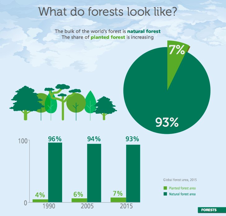 "What do forests look like?    #ForestsMatter ow.ly/qq4v30hBmrn" RT <a href="/FAOForestry/">FAO Forestry</a>