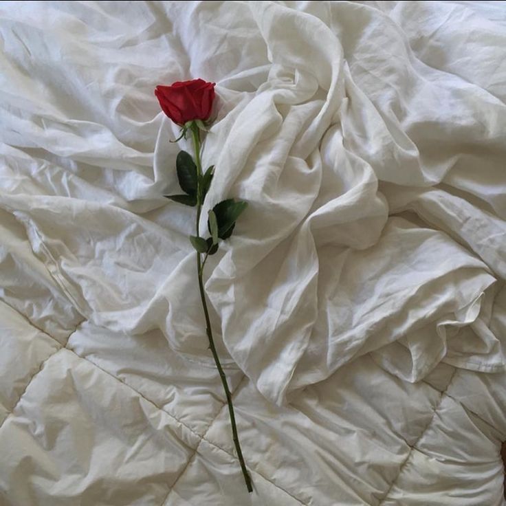 AlexisMRusso's tweet photo. Like a river flows surely to the sea 
Darling so it goes 
Some things are meant to be  
Take my hand, take my whole life too 
For I can't help falling in love with you https://t.co/rvXSIQX6jM