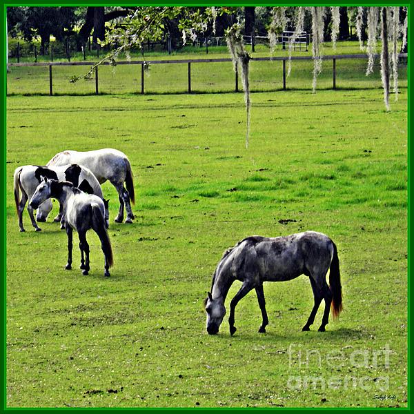 New artwork for sale! - "Horses in the Pasture " - fineartamerica.com/featured/horse… <a href="/fineartamerica/">Fine Art America</a>