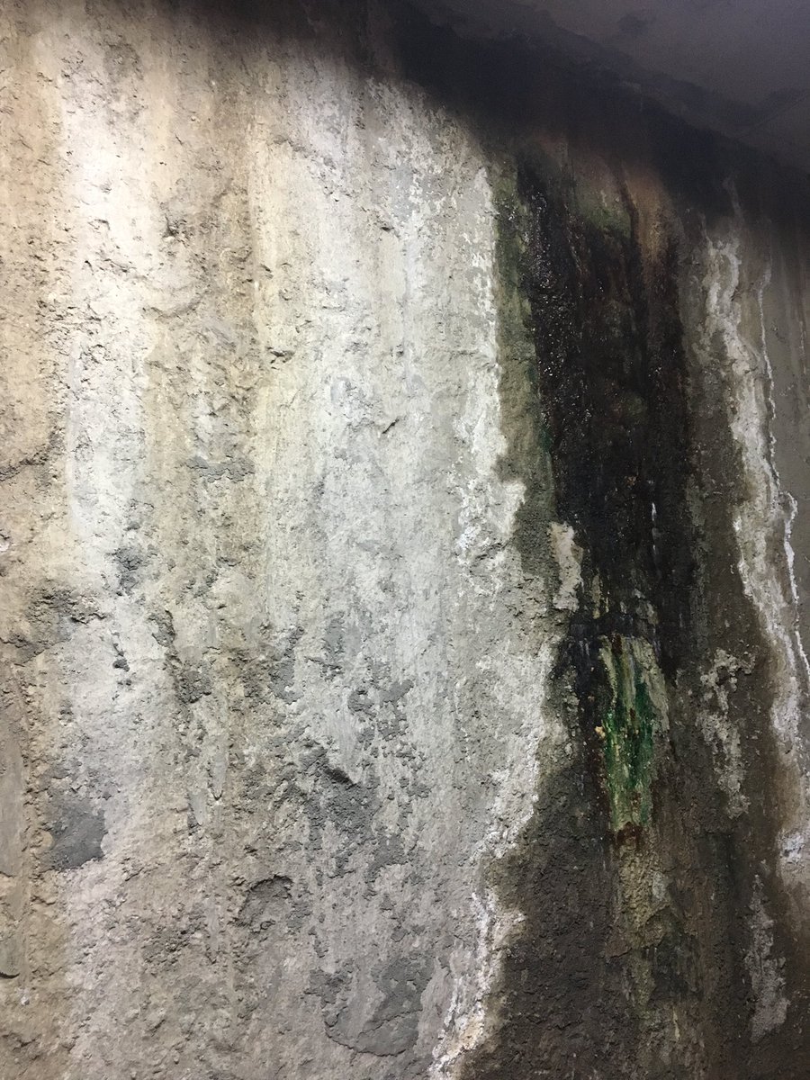 Leslicia tweet media