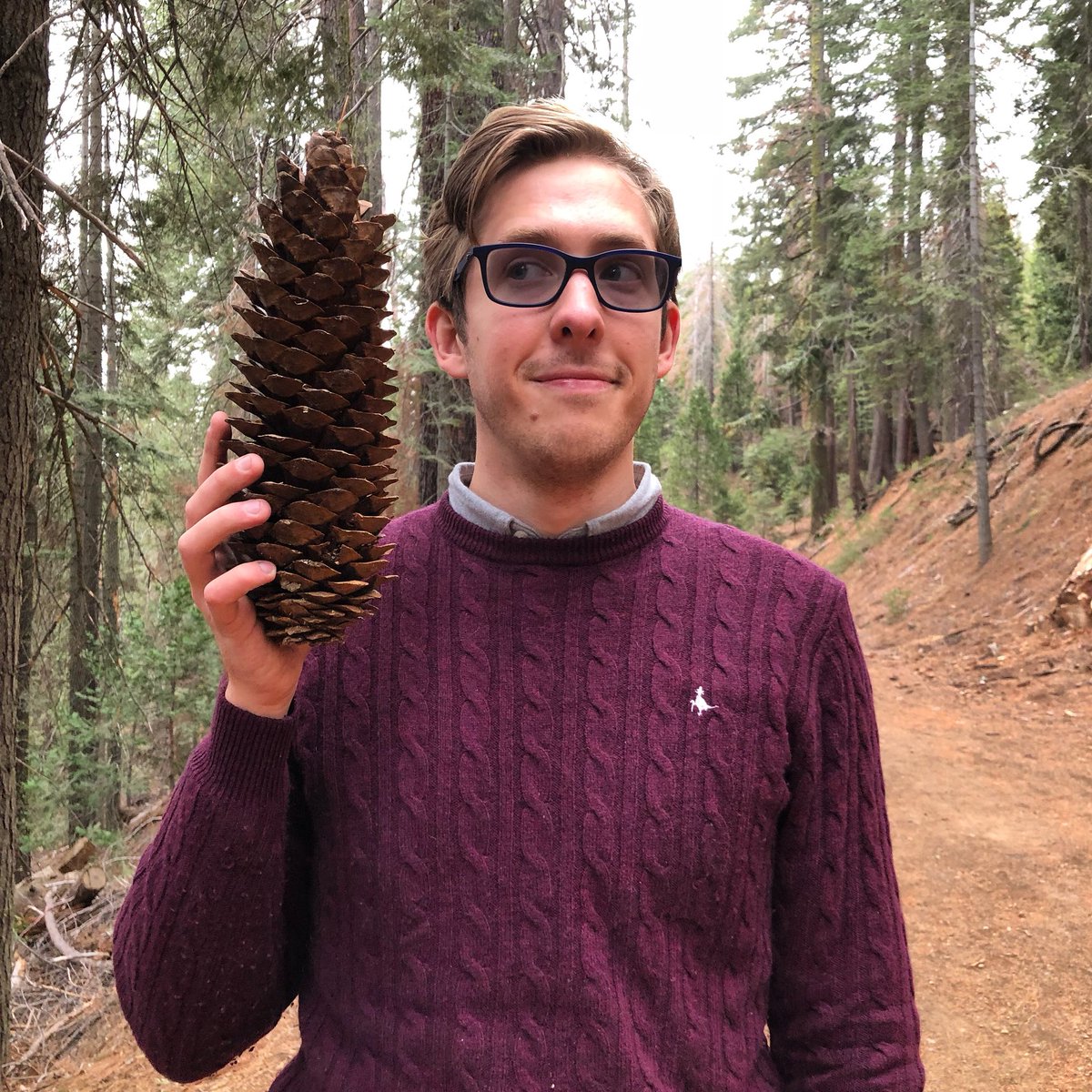 EvanEdinger's tweet photo. You’ll be obsessed with all my forest expertise 🌳 https://t.co/874NmtOyTN https://t.co/7ZEr6UXbBM