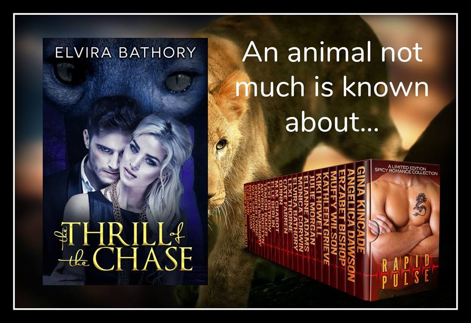ElviraBathory's tweet photo. An animal not much is known about ... https://t.co/xhVdGYujXZ #kindle #romance #amreading#RapidPulse #boxet https://t.co/ApmmueKfvR