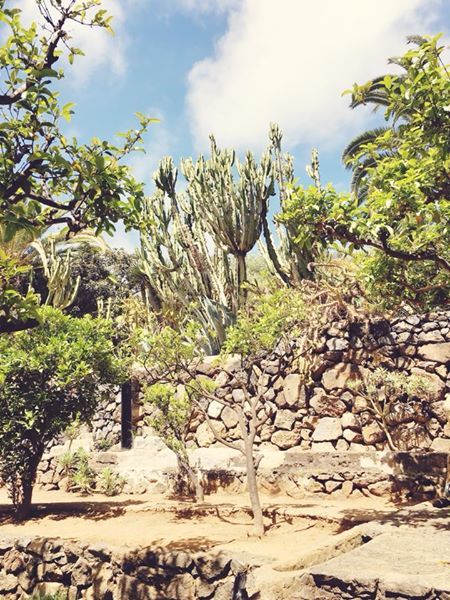 Modadelamode's tweet photo. So many beautiful corners of Tenerife to explore... so little time! https://t.co/qGUWDwUndn https://t.co/9csAqknCob