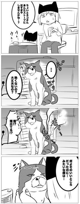 ネコ飼いあるあるなのかな?
ネコはあったかいところが大好き!でもねこの時期は特に注意してないと大変なことになるから気をつけてあげてください
去年は尻尾をやりました
異臭がひどい… 