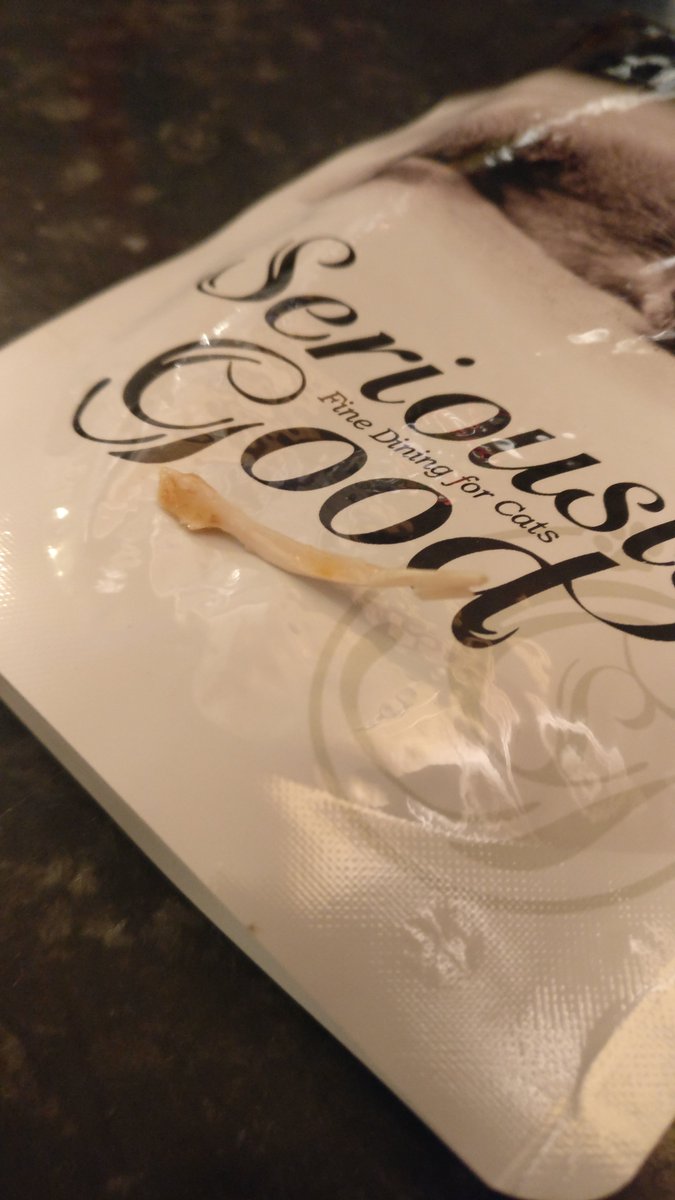 BeccalouAlt's tweet photo. @PetsatHome made a complaint regarding my cat almost choking on a huge bone in your own brand seriously good cat food 3 days ago and haven't even had a response to let me know this has been acknowledged. Highly upsetting and made me lose complete faith in this company. https://t.co/cLfVTAJw4K