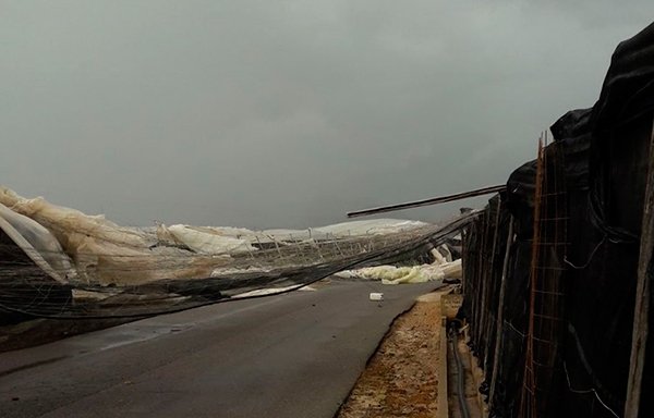 jaarcossanchez's tweet photo. Se acaba el #DiaDeReyes más triste que ha sufrido el campo almeriense. Imágenes del #tornado que hoy ha arrasado 150 hectáreas de #invernaderos en El Ejido https://t.co/YsWtoN90Tj #Almeria #ElEjido #agricultores #6deenero https://t.co/t2LtTOxMRR