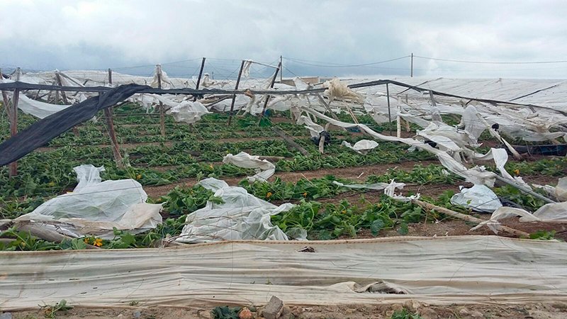 jaarcossanchez's tweet photo. Se acaba el #DiaDeReyes más triste que ha sufrido el campo almeriense. Imágenes del #tornado que hoy ha arrasado 150 hectáreas de #invernaderos en El Ejido https://t.co/YsWtoN90Tj #Almeria #ElEjido #agricultores #6deenero https://t.co/t2LtTOxMRR
