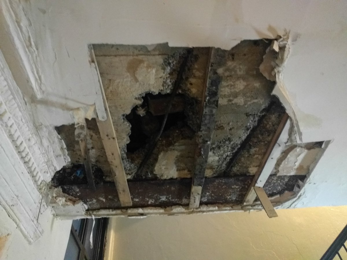 Stef Kon One On Twitter Black Mold Collapsed Ceilings Leaking