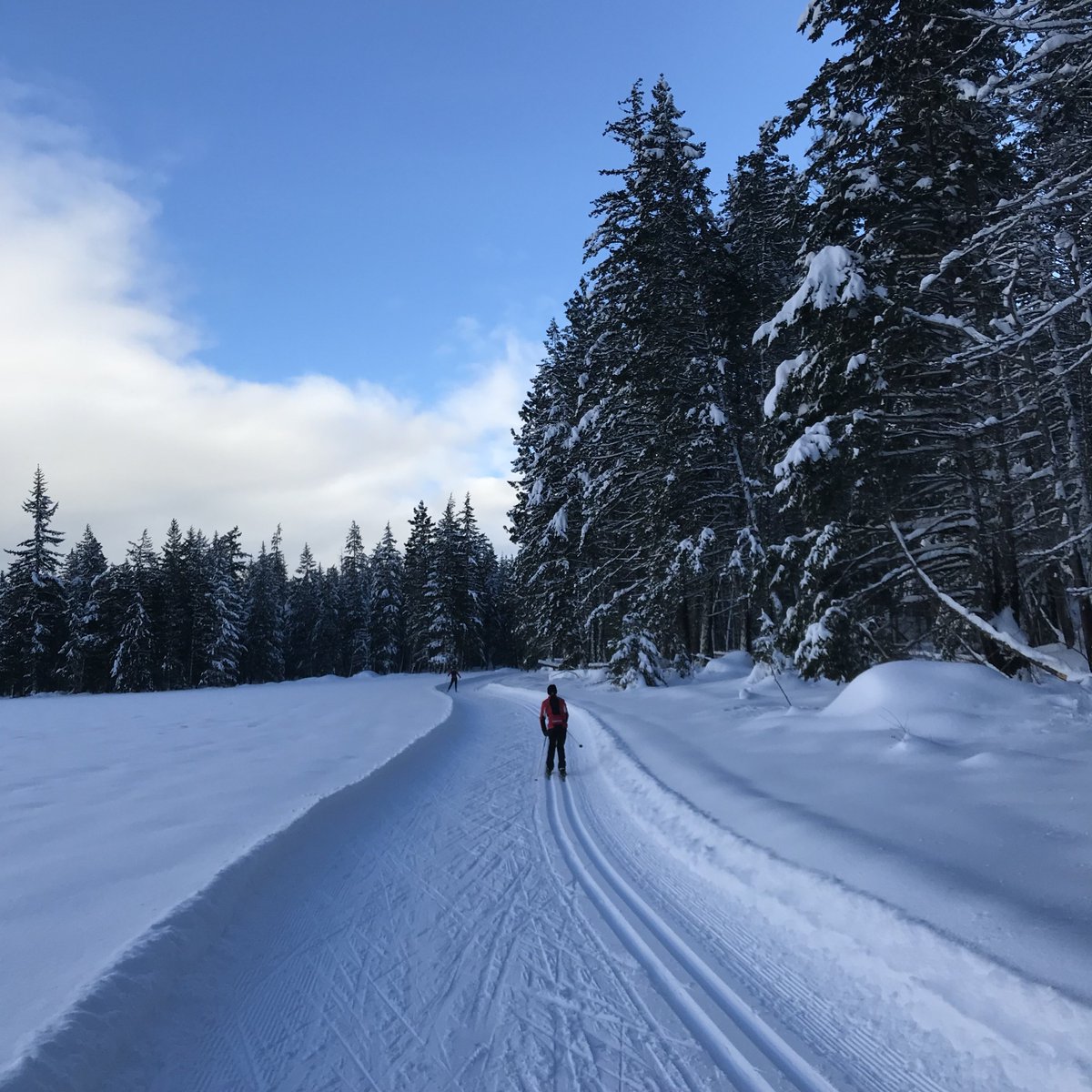 gettingbalance's tweet photo. It's ridiculously #cold out BUT views like this are #WhyIAvoidTheGym Here is something new started trying to help get me out the door: https://t.co/wAV5BT85rS #Resolutions #AlertGum @AlertGum #ad π https://t.co/nwBkknYkiT