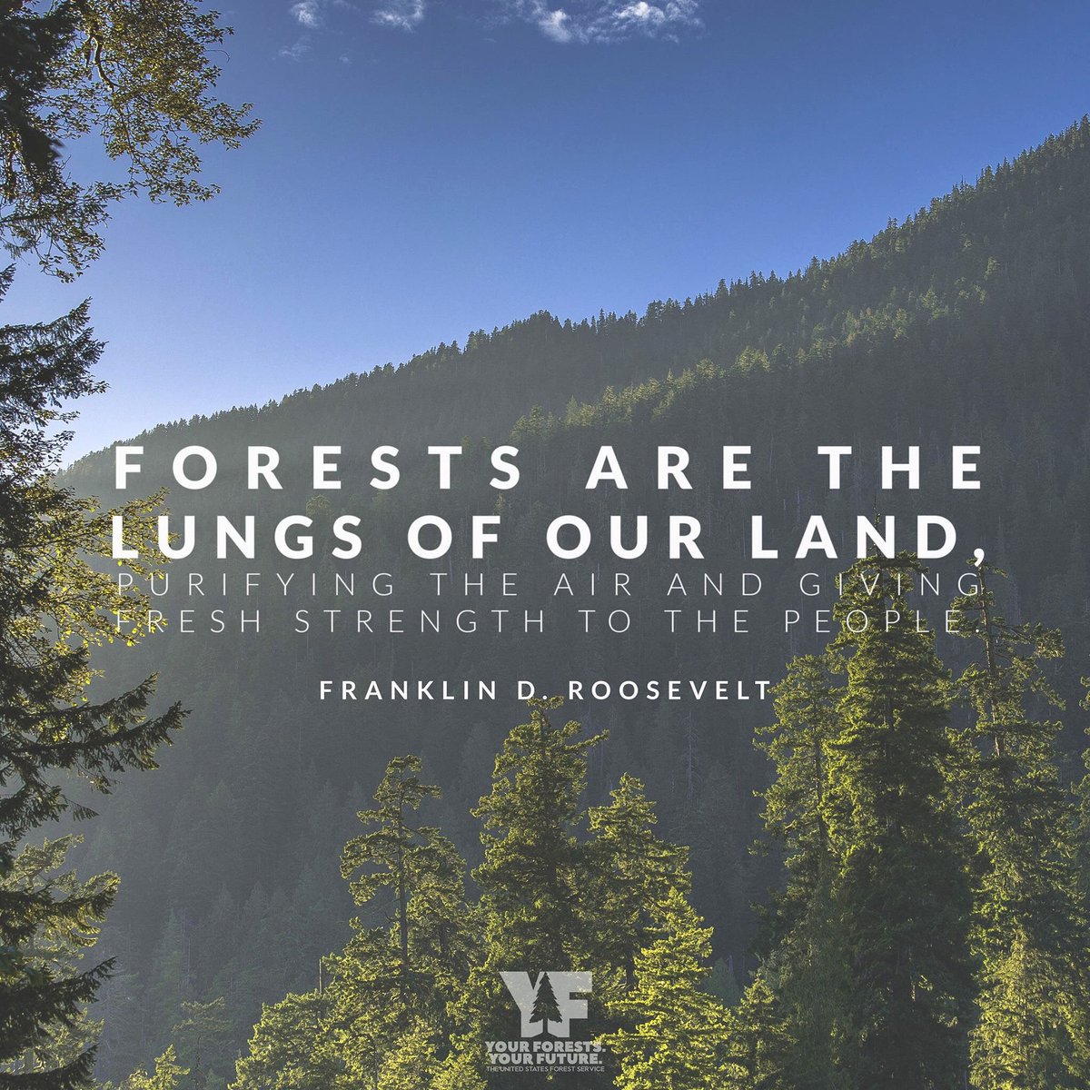 Your_Forests's tweet photo. “Forests are the lungs of our land, purifying the air and giving fresh strength to the people” -FDR https://t.co/D2XO3VfPzs