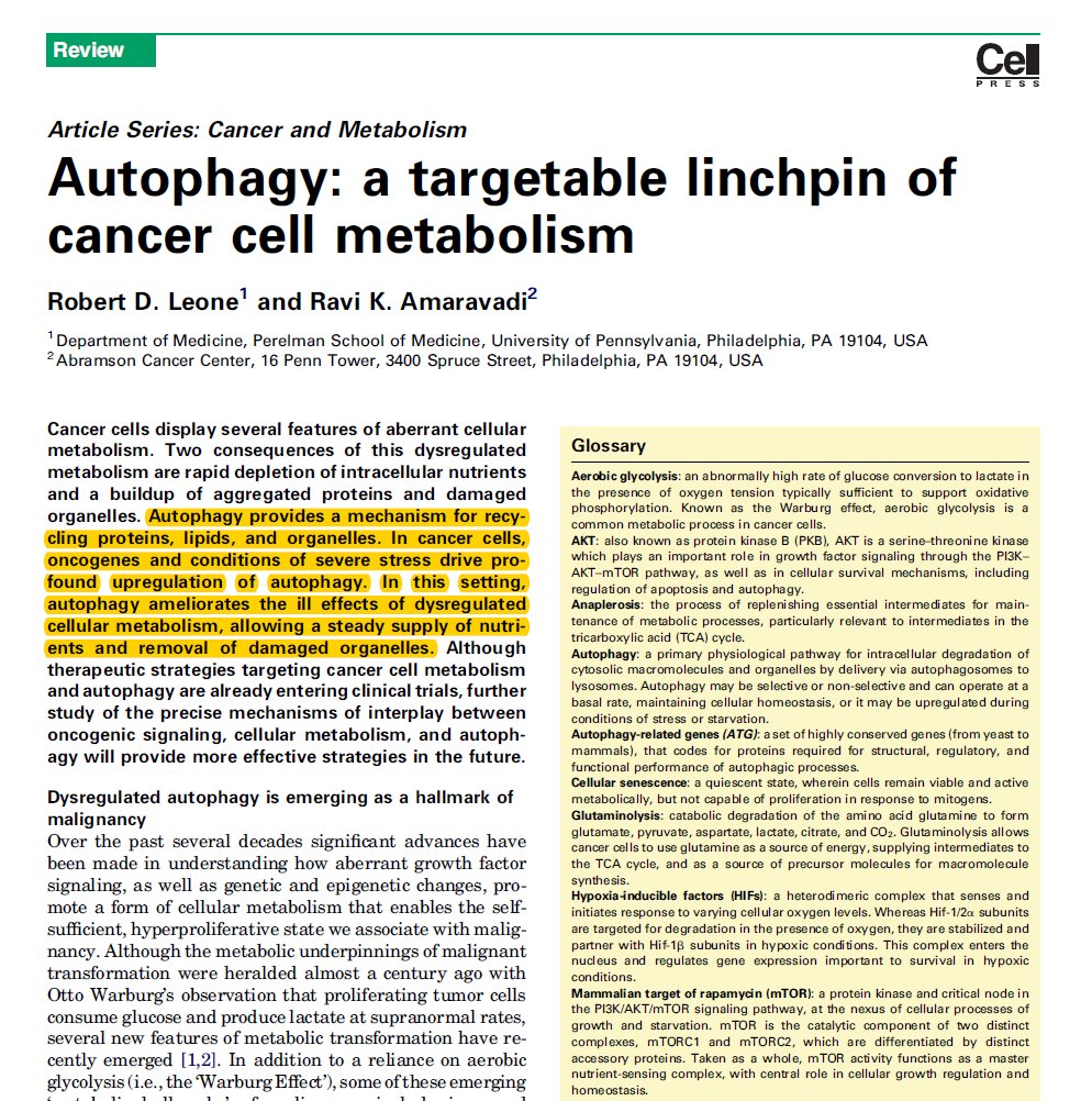 SatchinPanda's tweet photo. Not all autophagy is good.
Excess autophagy in tumors supplies a steadystream of nutrients for cancer to grow.
https://t.co/NUCkJQ54fz https://t.co/m3cfFUUMh3
