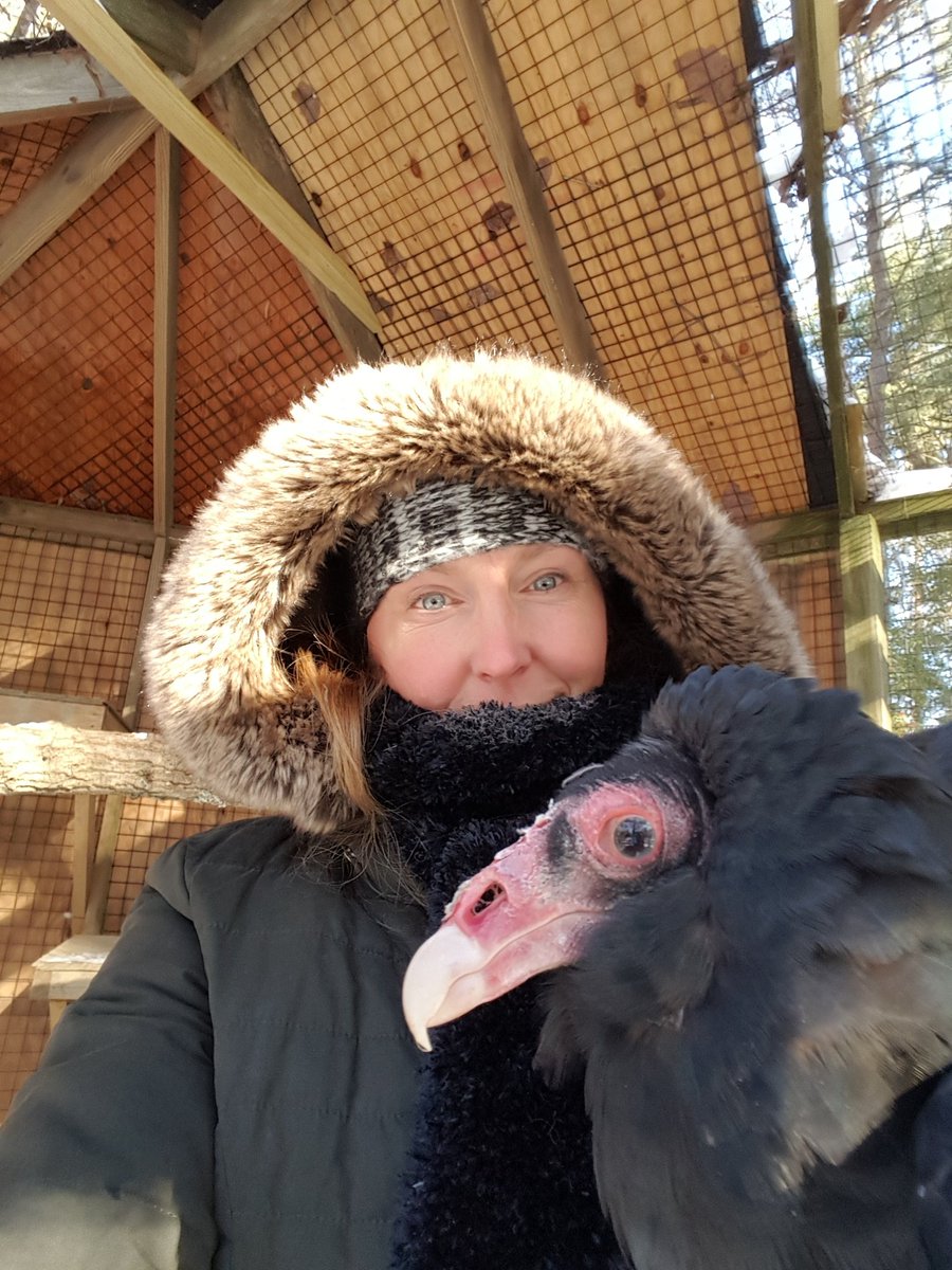 MrsFisher_Sci's tweet photo. What do you do on a 10 degree day? Take care of raptors of course! @CedarRunRefuge #opsbio #opsedu #collsedu Biology is my life! https://t.co/n7syRiwwMC
