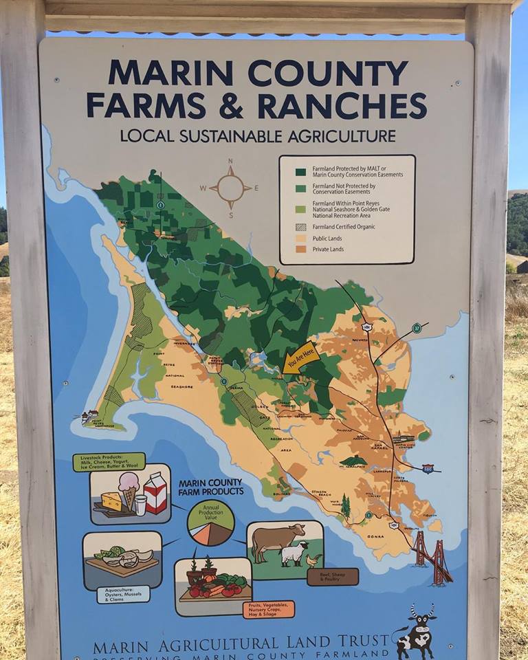 We are proud to practice local sustainable agriculture with our Marin county community! #sustainablelifestyle #sustainablefarming #california #organicfood #organicfarming #organiclife #californiacheese #organiccheese #eatorganic #marincounty #eatmorecheese #organic #cheese