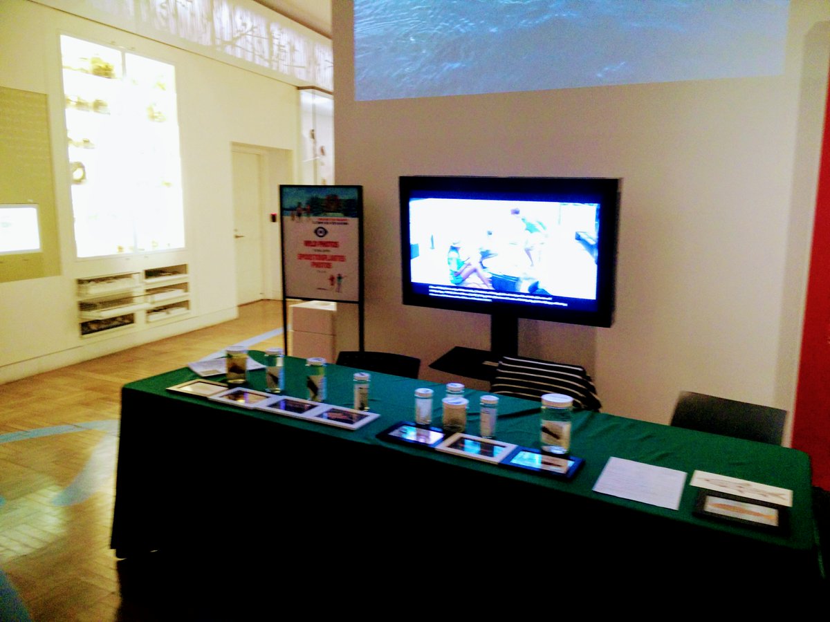 seanASanderson's tweet photo. Free on a Saturday? Come by our table @ROMtoronto to check out some cool fishes discovered by ROM biologists. Learn how new diversity is described #holotypes https://t.co/8wHy9poG5Z