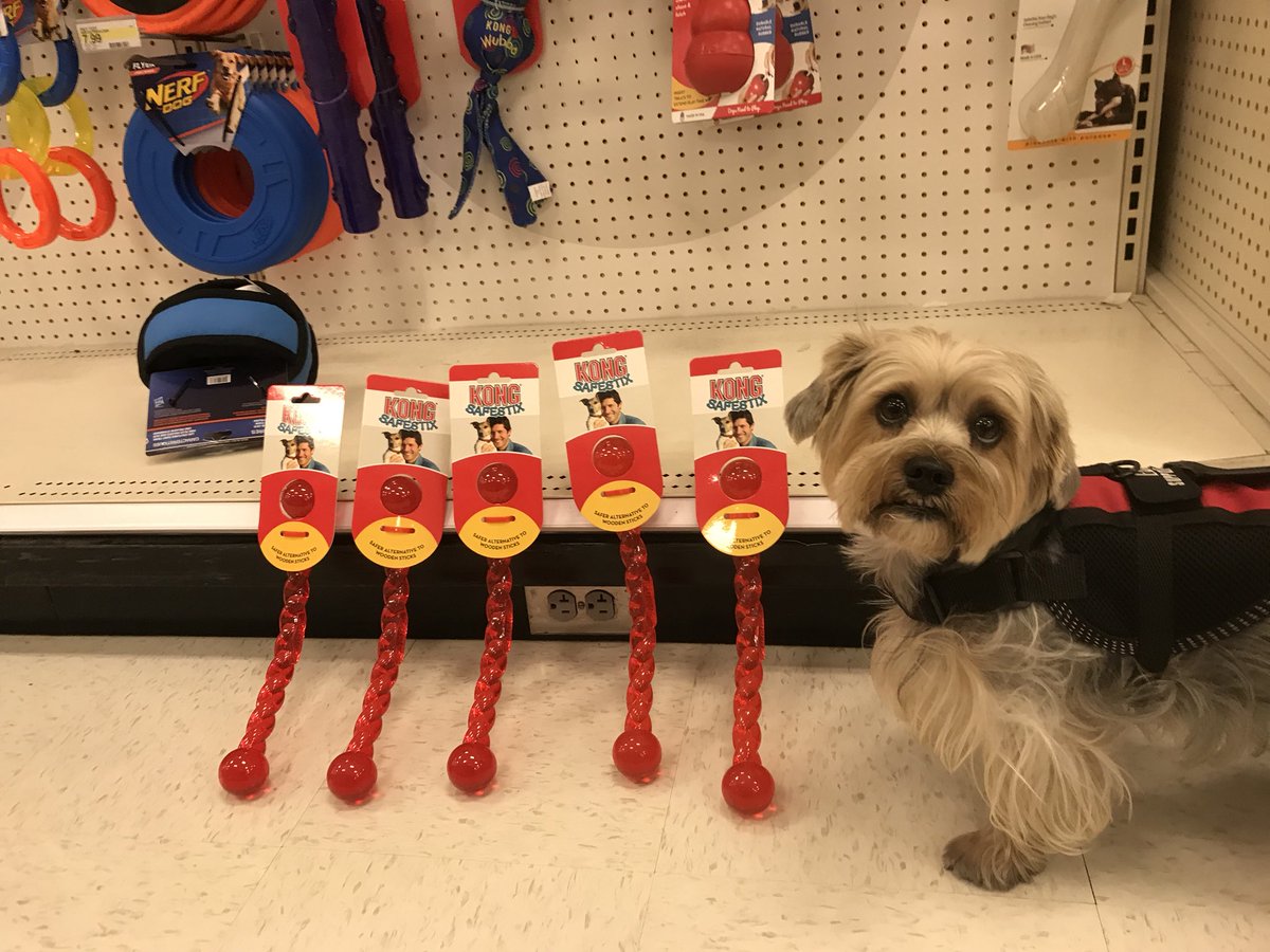 kong dog toys target