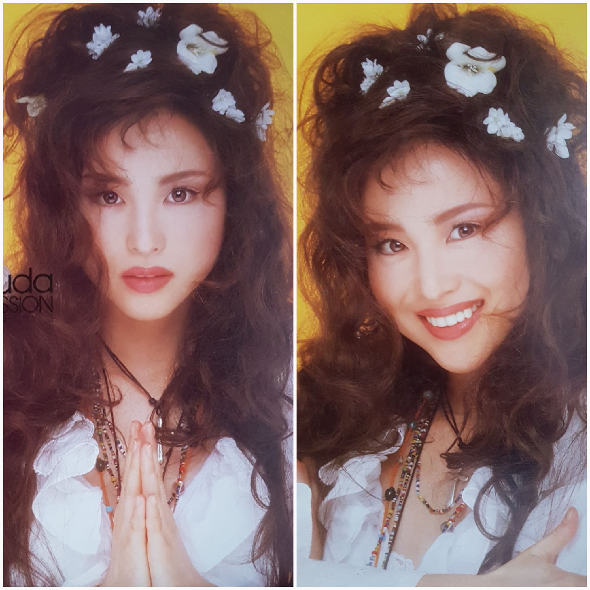 Amazon.co.jp: 25th Anniversary Seiko Matsuda PREMIUM DVD BOX