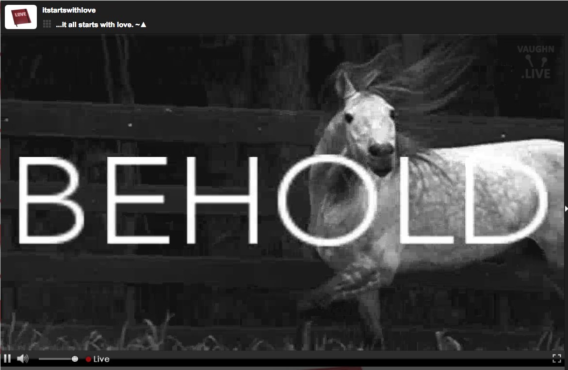 iCHURCHi's tweet image. Check out the #livestream sometime...enjoy. vaughnlive.tv/itstartswithlo… #love #itallstartswithlove #sharelove