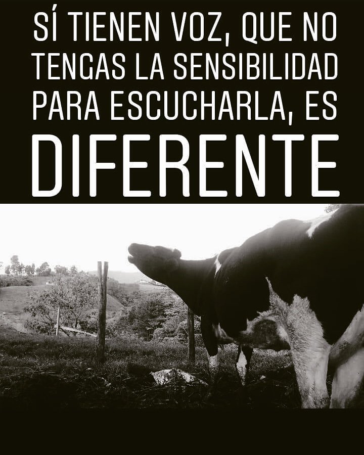 re_vegan's tweet photo. Animals do have a voice, that you don't have the sensitivity to hear it, is different. #GoVegan https://t.co/ci64ZW3t6B