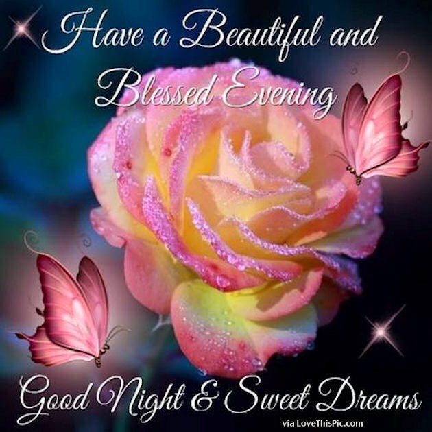 Iluvinspireu's tweet photo. @shajutexas @missparata @CCChampagne @Kpng_Fa1th @MARISADICICCO @Katy_lamb_ @Antoinette0703 @SeeligSly @Mark499368 Hello Shaju☮️💟always wonderful to hear from u😇Happy New Year to u &amp; your family!💖💞💖 https://t.co/CSkPODyFrz
