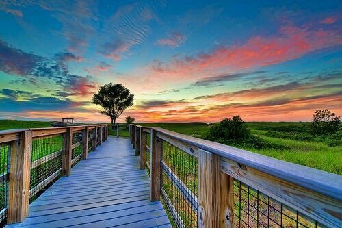 " you can not #cross the #sea merely by standing and staring at the #water " Rabindranath Tagore