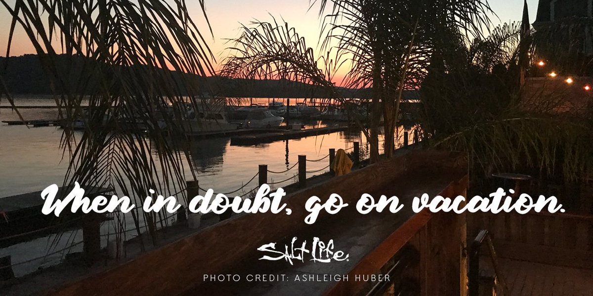 RealSaltLife's tweet photo. When in doubt, go on vacation. 😎

#LiveTheSaltLife https://t.co/CG6mdzWxqb